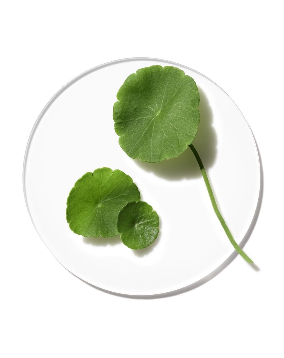 Cica là gì? Ý nghĩa của nó đối với làn da