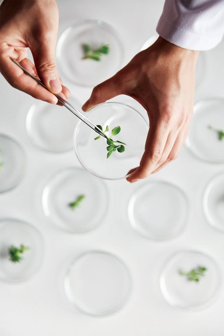 Xu hướng mỹ phẩm Probiotic: Làn sóng mới trong ngành làm đẹp